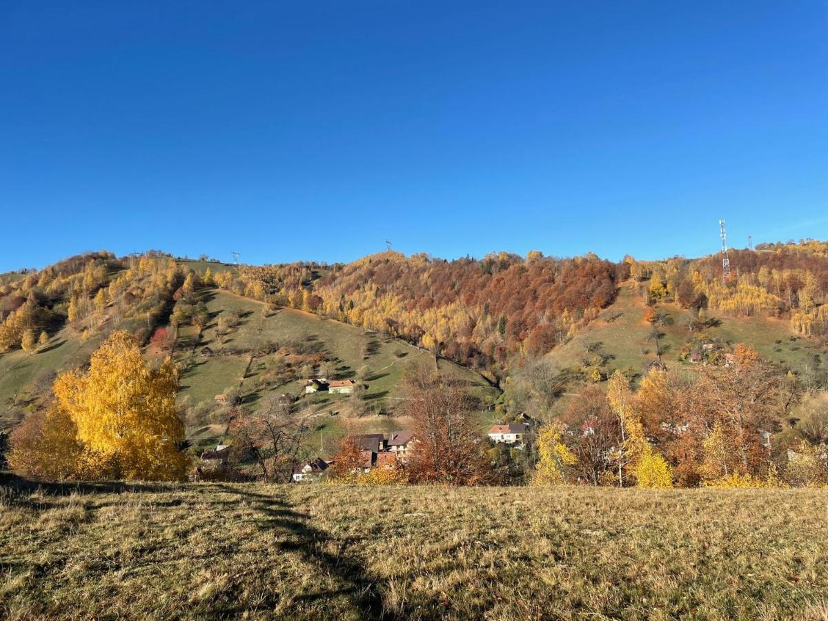 Bran Place La Odaie Simon Buitenkant foto