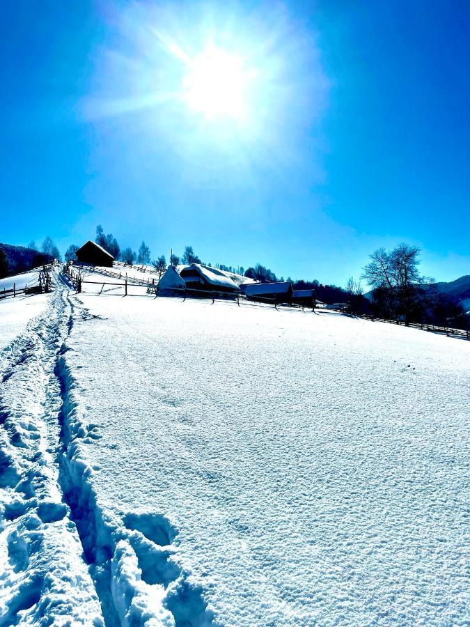 Bran Place La Odaie Simon Buitenkant foto